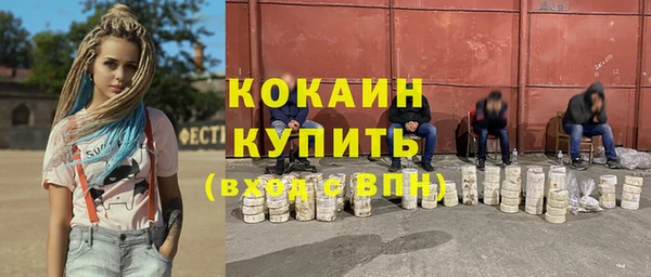 соль ск Дмитровск