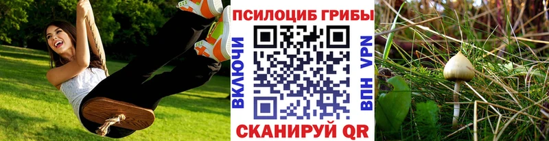 Псилоцибиновые грибы мухоморы  Купить  Кропоткин 